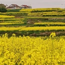 汉中旅游 缩略图 4