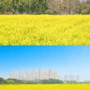 苏州旅游 缩略图 6