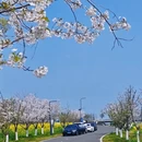 苏州旅游 缩略图 1