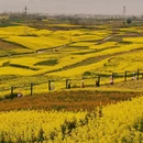 汉中旅游 缩略图 5