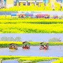 扬州旅游 缩略图 1