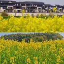 苏州旅游 缩略图 8