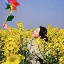 扬州旅游 缩略图 7