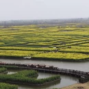 泰州旅游 缩略图 2