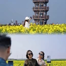 泰州旅游 缩略图 1