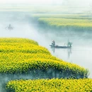 泰州旅游 缩略图 6