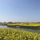 泰州旅游 缩略图 2