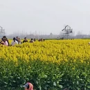 泰州旅游 缩略图 8