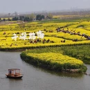 泰州旅游 缩略图 6