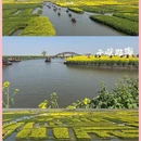 泰州旅游 缩略图 1