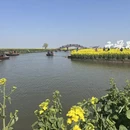 泰州旅游 缩略图 5