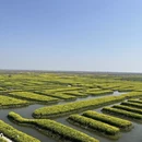 泰州旅游 缩略图 3
