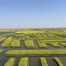 泰州旅游 缩略图 4