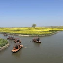 泰州旅游 缩略图 7