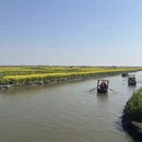 泰州旅游 缩略图 9