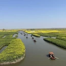 泰州旅游 缩略图 13