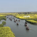 泰州旅游 缩略图 12