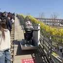 泰州旅游 缩略图 16