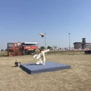 泰州旅游 缩略图 17