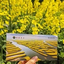 扬州旅游 缩略图 3