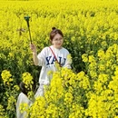 扬州旅游 缩略图 1
