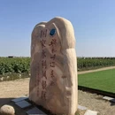泰州旅游 缩略图 10
