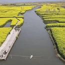 扬州旅游 缩略图 7