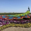 泰州旅游 缩略图 15