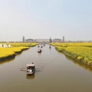 泰州旅游 缩略图 2