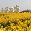 泰州旅游 缩略图 7