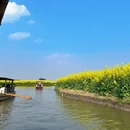 扬州旅游 缩略图 5