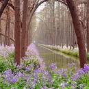 泰州旅游 缩略图 5