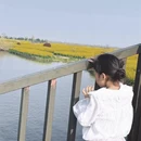 扬州旅游 缩略图 4