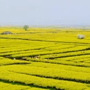 徐州旅游 缩略图 4