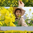 扬州旅游 缩略图 1