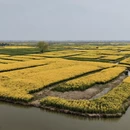 泰州旅游 缩略图 5