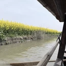 泰州旅游 缩略图 7