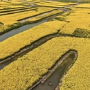 泰州旅游 缩略图 4