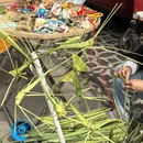 扬州旅游 缩略图 6