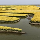 泰州旅游 缩略图 3
