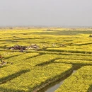 泰州旅游 缩略图 2