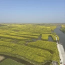 泰州旅游 缩略图 5