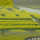 扬州旅游 缩略图 1