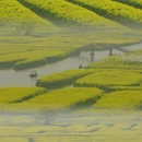 扬州旅游 缩略图 2
