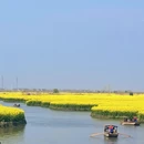 泰州旅游 缩略图 6