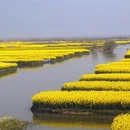 泰州旅游 缩略图 7