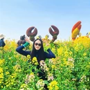 泰州旅游 缩略图 4