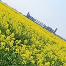 泰州旅游 缩略图 9