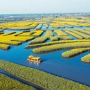 泰州旅游 缩略图 3