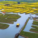泰州旅游 缩略图 2